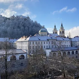 https://rohrmann-apartments.hotels-in-ljubljana.com